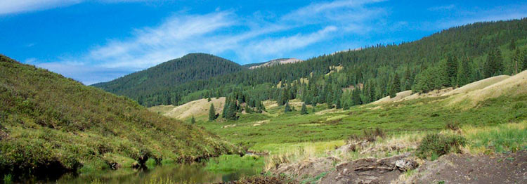 colorado beaver pond