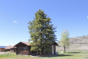 6 historic colorado cabin 02 216