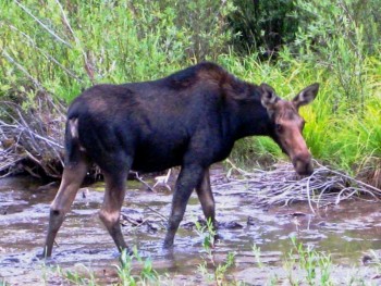 creede colorado ranch adventure 07 340